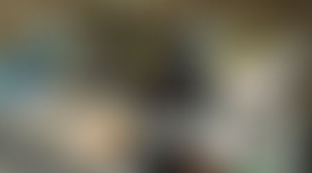 El perro Maximo detectó casi 3 kg de marihuana