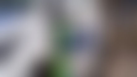 Salieron a robar en pareja