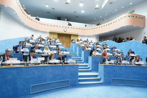 El Ejecutivo llamó a sesión extraordinaria para el 18 de diciembre