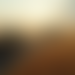 Comprendre le prix hydromulching m² : tout ce qu’il faut savoir