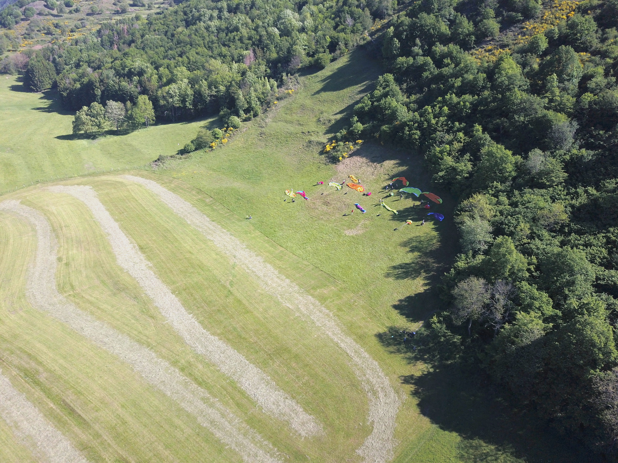 Centre Ecole Du Markstein - Baptêmes Et Stages Parapente