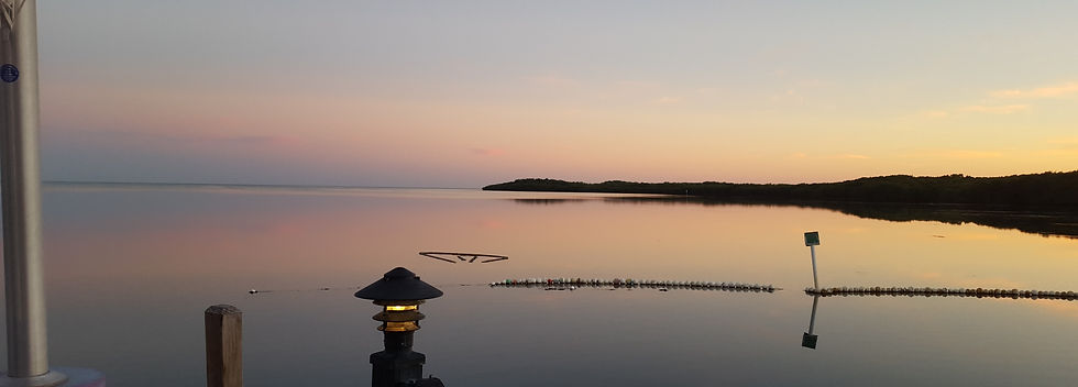 20160227_183011.jpg