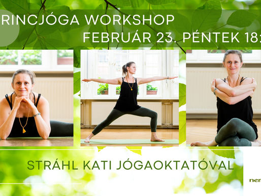 GERINCJÓGA WORKSHOP - feb.23. 18.00 - NemcsakJóga