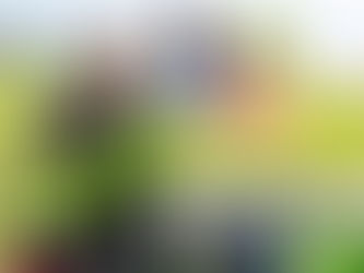 Jobs in Finland 2026: Berry Picking & Agricultural Jobs