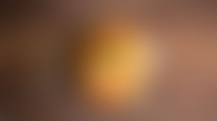 WEEKDAY PASTA SAUCE WITH SPAGHETTI
