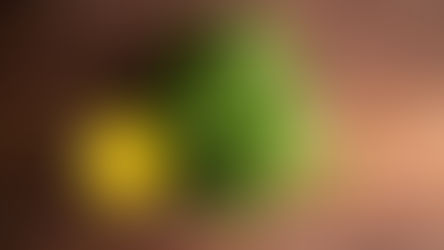 TRAIN YOUR PALATE: HOW TO MAKE A VINAIGRETTE