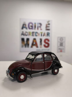 WhatsApp Image 2025-11-17 at 21.07.26 (1)