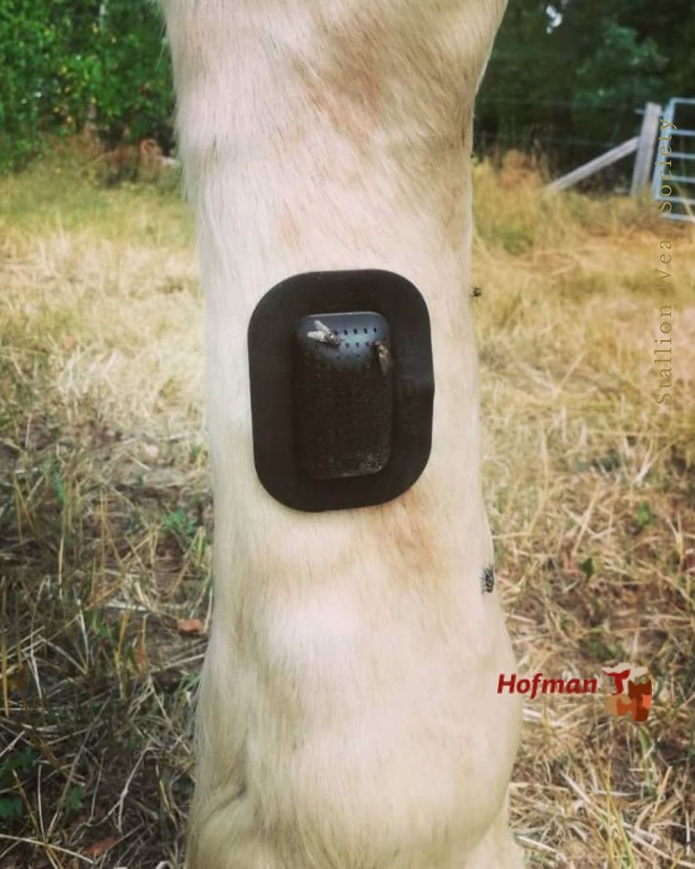 Thumbnail: Rheva | Kombo Wound Protection