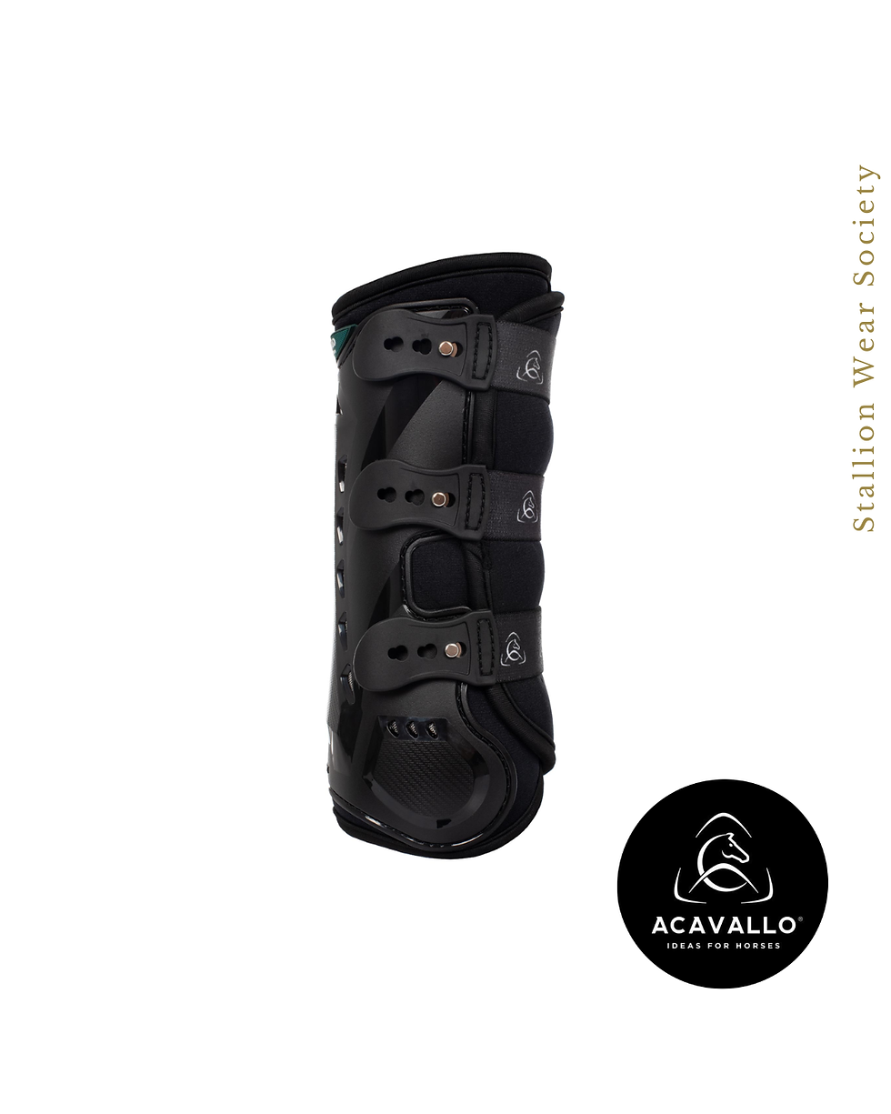 Thumbnail: Acavallo | Anatomical front dressage boots