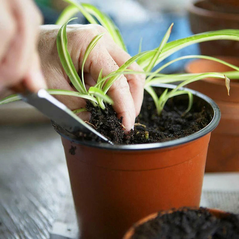 Thumbnail: Succulent Seedling Planter75-150One Pack Bendable and Breathable Plastic Plantin