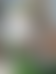 Report: Metro Little Rock Continues to Recover From Pandemic