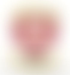 Welcome To Our HartLand Blog!