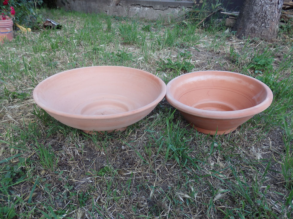 Ciotole in terracotta