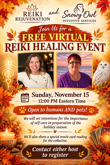 Nov. 2026 Reiki Healing Event Flyer.png
