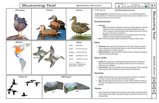 4. Card-Template - Front-Version4.jpg