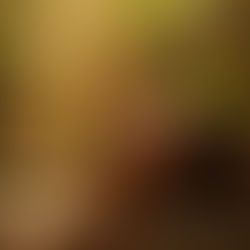 Discovering Calm: Sensory Reset for Neurodivergent Minds