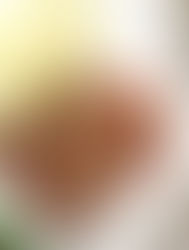 너무 맛있는 베지가스, 채식주의 선언한 고등학생을 위한 맛있는 레시피 Veggie cutlets