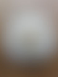 100% 현미 또띠아 만들기  Brown rice Tortillas