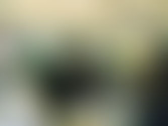 't Olstererfgoed op de Jaarmarkt Olst