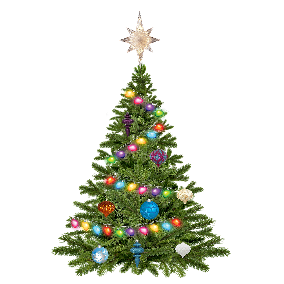 W e i h n a c h t e n - 2 0 2 5