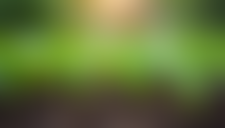 The Positive Mental Health Effects of Gardening for Mental Health