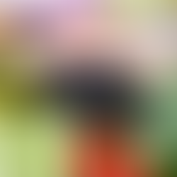 Unlocking the Path to Better Health through Gardening: Embracing Plant-Based Eating