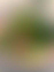 Chickpea Salad Lettuce Wraps