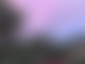 Gratitude for the Harvest: Lessons from My Garden Blues