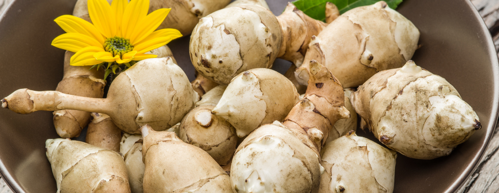 Jerusalem Artichoke