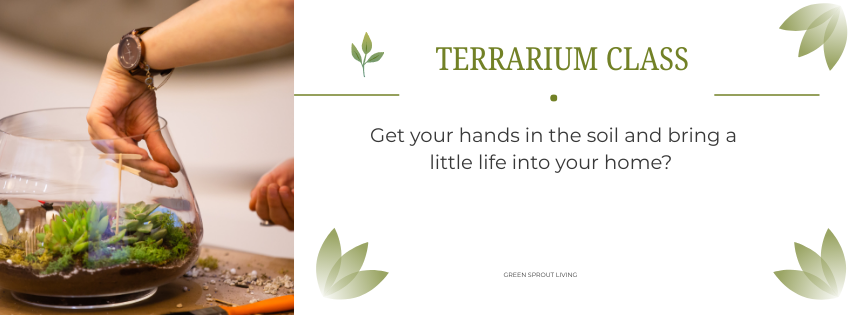 Terrarium Workshop