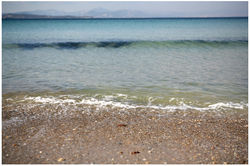 PAY_IMG_0822