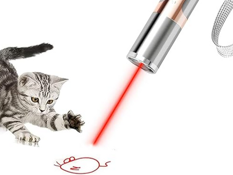 The Ultimate Gift Guide for Pampered Pets: 7 Must-Have Picks