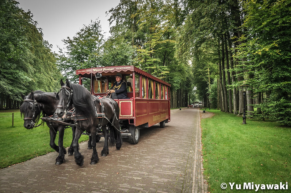 Carriage in Apeldoorn, The Netherlands