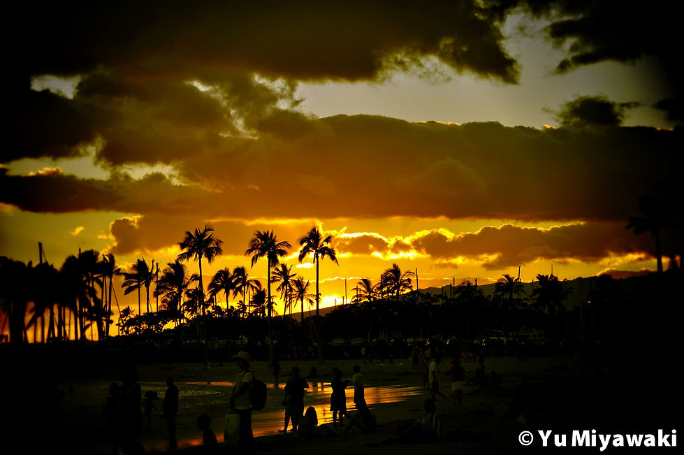 Sunset in Waikiki, Hawaii