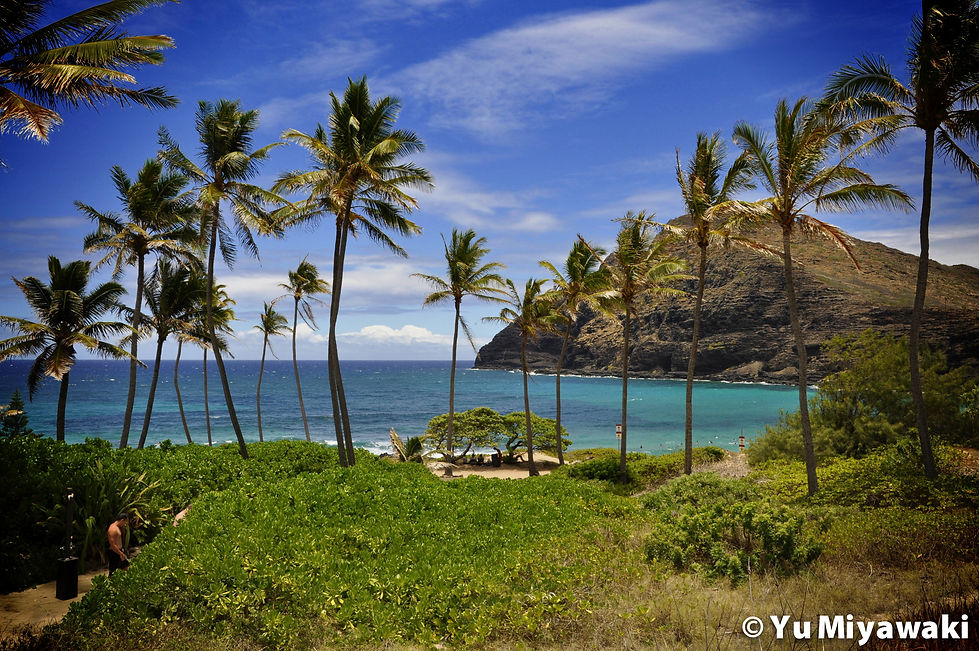 Makapu'u beach park in Makapu'u, Hawaii