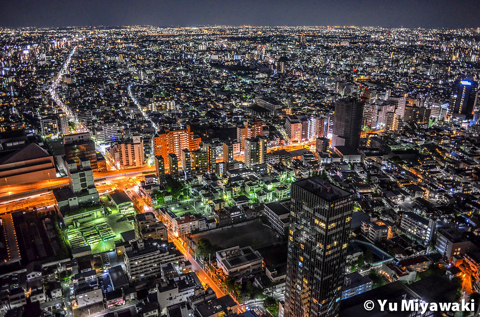 Tokyo desert in Shinjuku, Tokyo