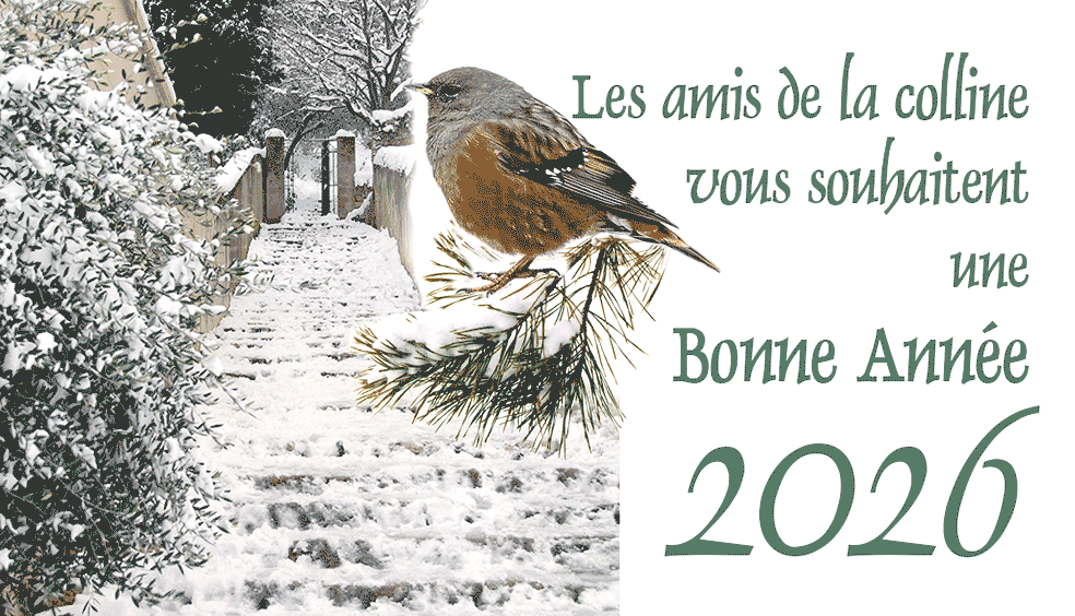 Voeux2026.gif
