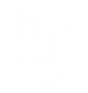 GraceChapel_Logo (Stacked, White)_edited