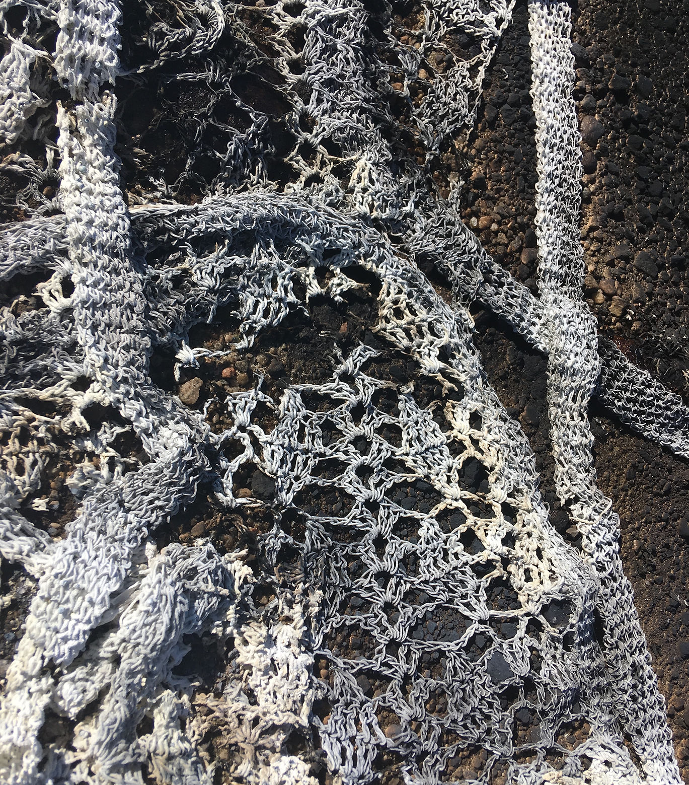 I have a purpose. (detail image)_allison holland.JPG