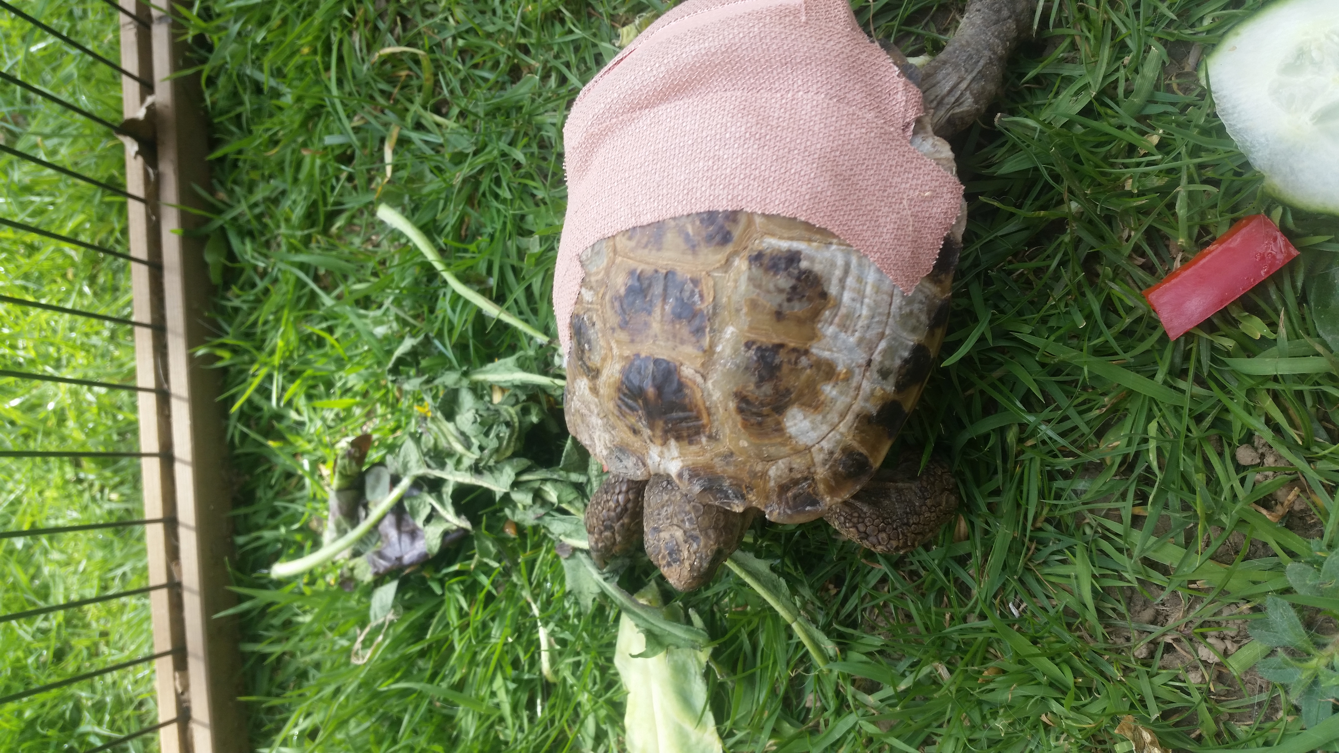 20150419_124403.jpg