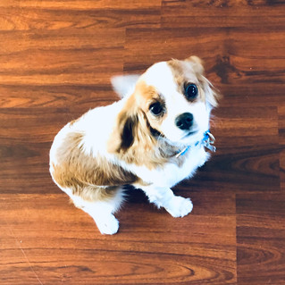20191029_222224109_iOS.jpg