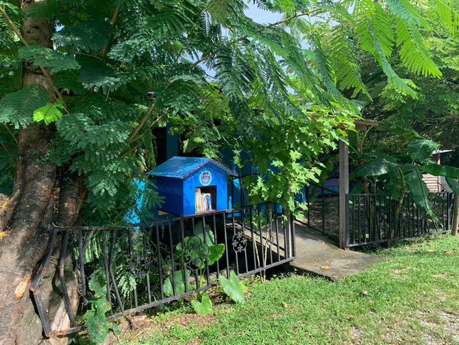 Collaborating with Books Build Bridges to promote reading in Playa Samara