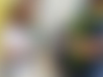 Fe y servicio en la comunidad Los Rosales