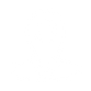 SDIcon (1).png