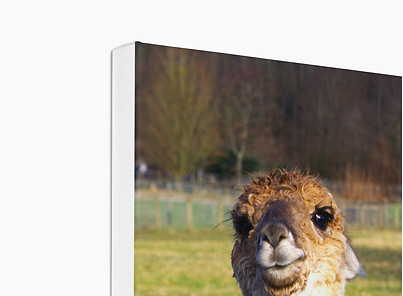 Stretched Canvas Mock Up White Wrap 01.jpg