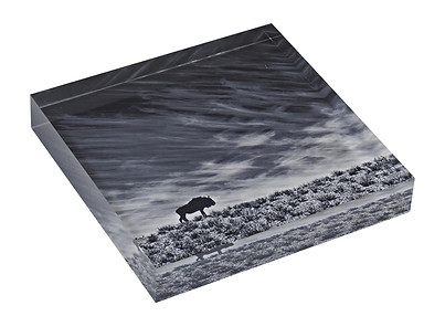 Acrylic prism - with landscape.jpg