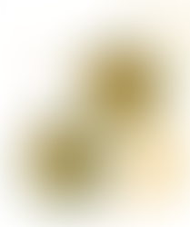 Peanut Butter Green Smoothie