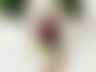 Creamy Chocolate Wild Blueberry Smoothie