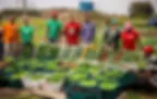 agricultura familiar.webp