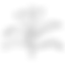 SacredSpace_Icon_TextDivider_2.png